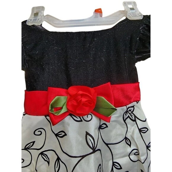 Youngland Size 2T Party Dress Embroidered Lined Velvet - Picture 2 of 7